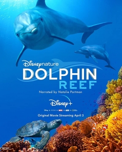 Dolphin Reef-free