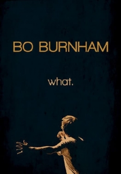 Bo Burnham: What.-free