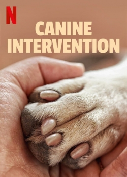 Canine Intervention-free