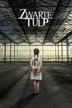 Black Tulip-free