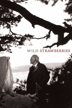 Wild Strawberries-free