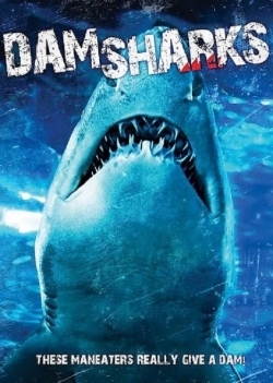 Dam Sharks!-free