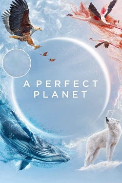 A Perfect Planet-free