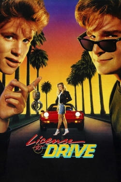 License to Drive-free