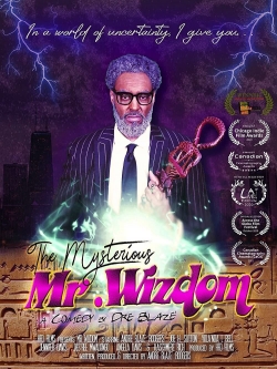 The Mysterious Mr. Wizdom-free