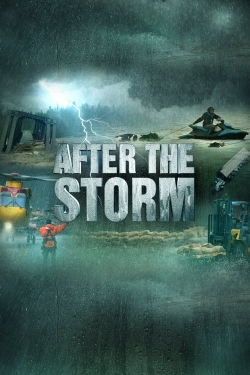 After the Storm-free