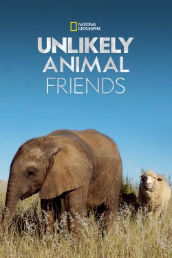 Unlikely Animal Friends-free