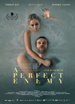 A Perfect Enemy-free