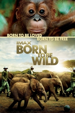 Born to Be Wild-free