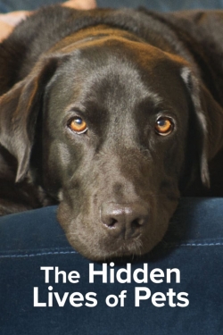 The Hidden Lives of Pets-free