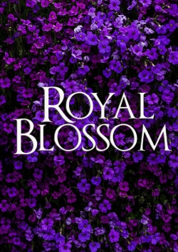 Royal Blossom-free