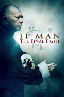 Ip Man: The Final Fight-free