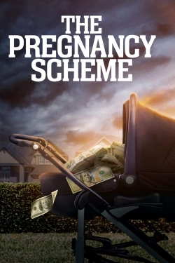 The Pregnancy Scheme-free