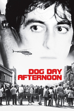 Dog Day Afternoon-free