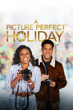 A Picture Perfect Holiday-free