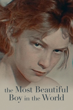 The Most Beautiful Boy in the World-free