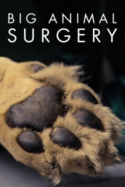 Big Animal Surgery-free