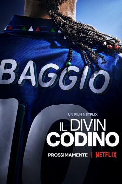 Baggio: The Divine Ponytail-free