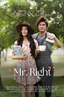 Mr. Right-free