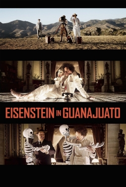 Eisenstein in Guanajuato-free