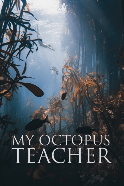 My Octopus Teacher-free
