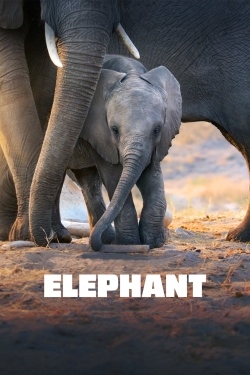 Elephant-free