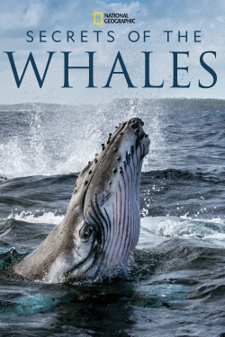 Secrets of the Whales-free