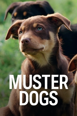 Muster Dogs-free