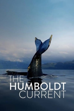 The Humboldt Current-free