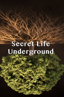 Secret Life Underground-free