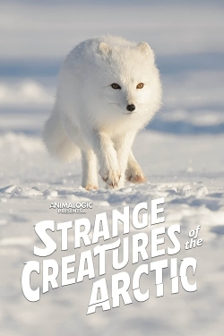 Strange Creatures of the Arctic-free