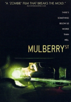 Mulberry Street-free
