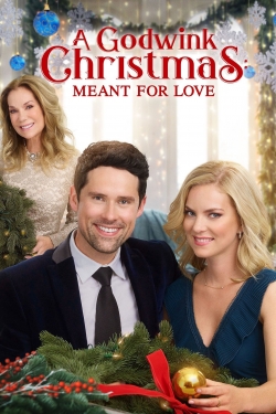 A Godwink Christmas: Meant For Love-free