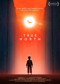 True North-free