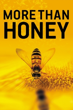More Than Honey-free