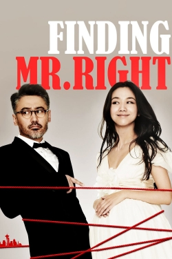 Finding Mr. Right-free