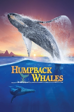 Humpback Whales-free