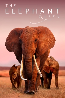 The Elephant Queen-free