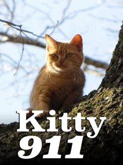 Kitty 911-free