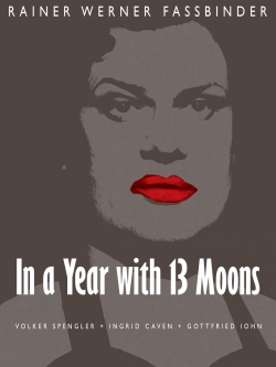 In a Year with 13 Moons-free
