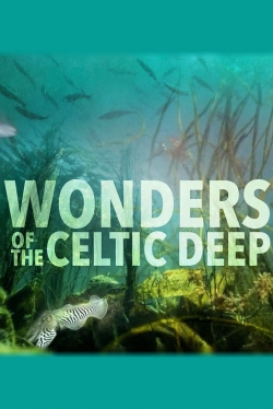 Wonders of the Celtic Deep-free
