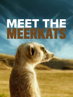 Meet The Meerkats-free